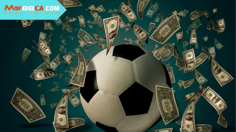 Các bộ môn thịnh hành được cung cấp ở tại Thể Thao May88