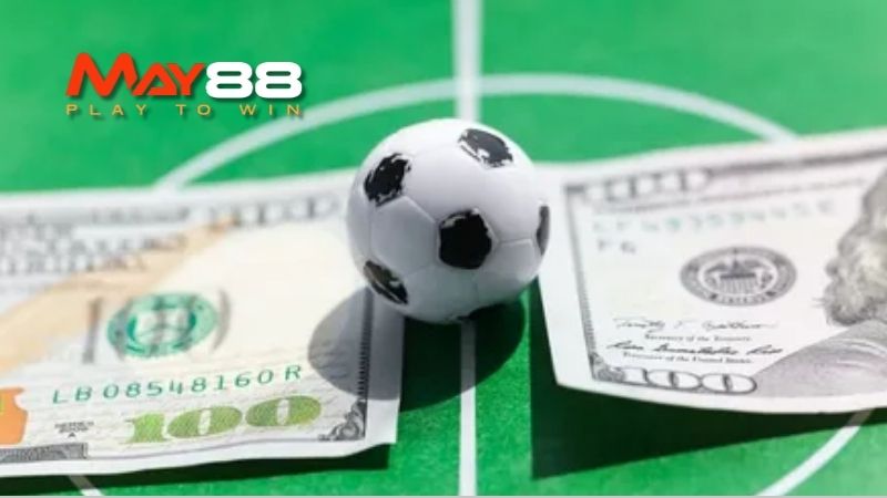 Những câu hỏi thường gặp