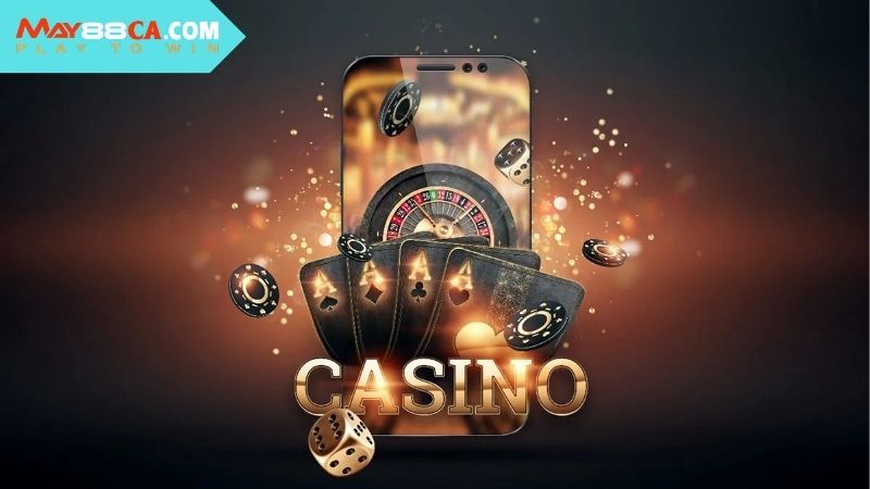 Các loại hình cược và dịch vụ cung cấp tới cộng đồng cược thủ